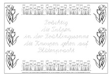 Tulpe-Elfchen-1-LA.pdf